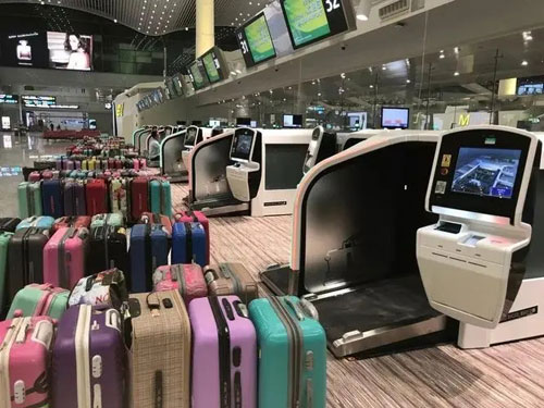 台山行李托运